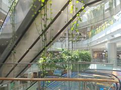 -凯德广场(学府店)