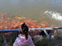 -春晖园度假酒店温泉
