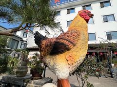 -头上红煨盐鸡乡村食府