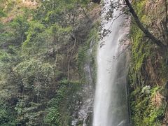 -莫里热带雨林景区