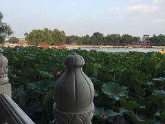 -小王府(什刹海店)