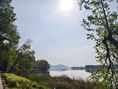 -东湖落雁景区