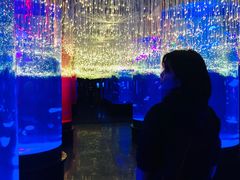-哈尔滨波塞冬海底世界