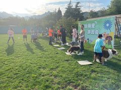 -趣玩宠物乐园寄养训犬训狗游泳池