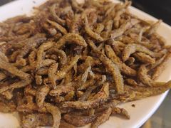 -野菌皇海景野生菌火锅(滨海大道店)