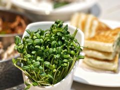 -浩爷羊蝎子火锅(望京店)