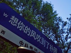-朴园