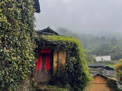 -杨家堂村