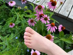 -野鸭湖国家湿地公园