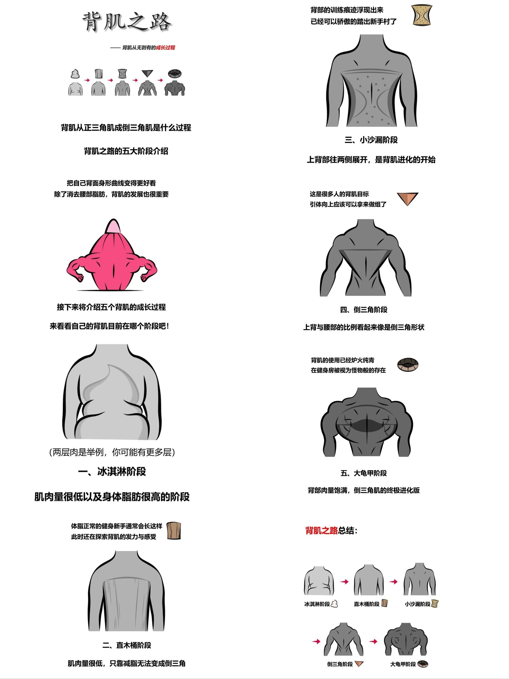 健身动作图解