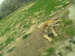 -西安秦岭野生动物园