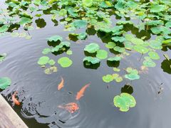 -南浔古镇