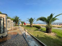-碧海金沙