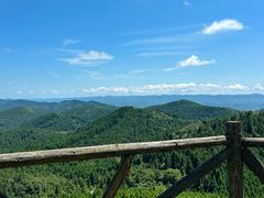 -武陵山森林公园