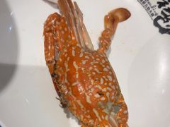 -初色海鲜自助(新辰里亚运村店)