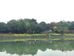 -南宁南湖公园