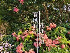 -云溪植物园