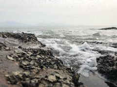 -碧桂园十里银滩