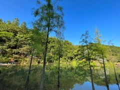 -广州白江湖森林公园