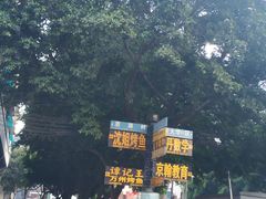-沈姐万州烤鱼(沙坪坝七中店)