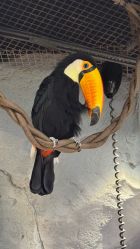 -Zoolung Zoolung动物主题公园(海信广场店)