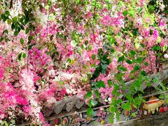 -深圳国际园林花卉博览园