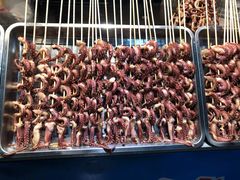 -大学城夜市大排档(凤栖路店)