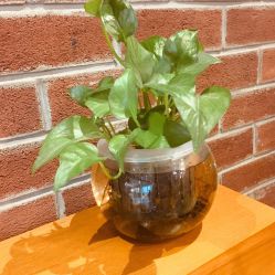 -时尚殿堂·颜SPA