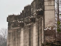 -音乐台
