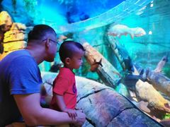 -沈阳海洋探索中心