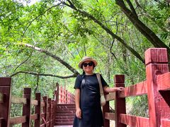 -广州白江湖森林公园