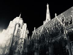 -斯蒂芬主教座堂(Stephansdom)