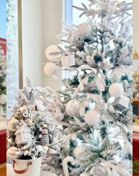 -圣贝拉母婴护理中心(深圳莱佛士店)