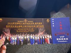 -巨鹏飞梦幻海岸