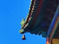 -普陀宗乘之庙