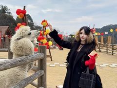 -龙岩森林水乡景区
