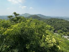 -牛首山文化旅游区