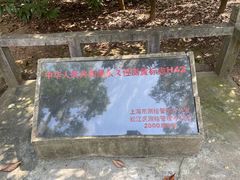 -上海佘山国家森林公园天马山园