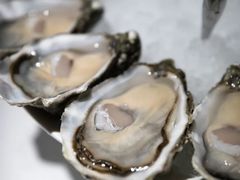 -Oyster Talks 四度蚝法餐厅