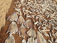 -尼甘布海鲜市场