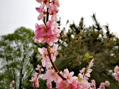 -玲珑塔公园