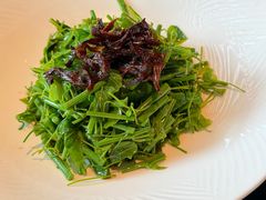 鸡枞菌拌辣木苗-醉东Oriental House(静安嘉里中心店)