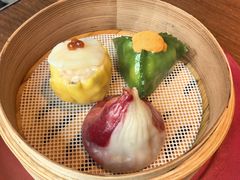 -随堂里