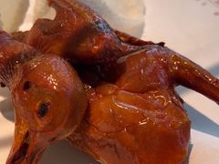 -鸽子侯·家宴·平价海鲜(市图书馆店)