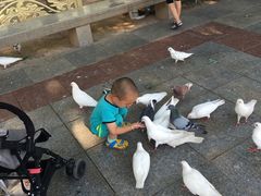 -美吉姆早教(高新中心)
