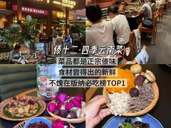 -西双版纳原始森林公园