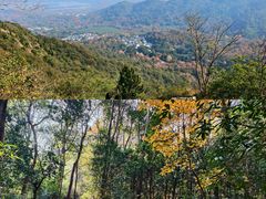 -中国茶叶博物馆(双峰馆区)