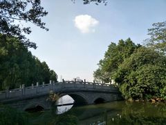 -月湖风景区