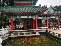 -广东圆玄道观