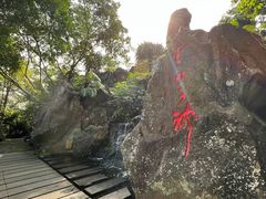 -海口火山口国家地质公园